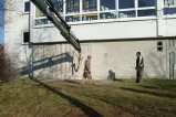 002-003.resized.JPG.small.jpeg