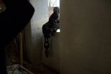 012-013.resized.JPG.small.jpeg